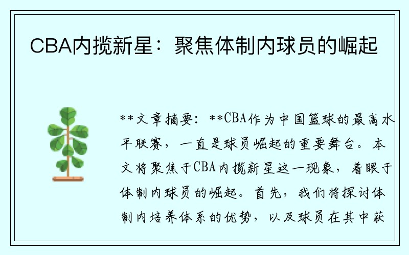 CBA内揽新星：聚焦体制内球员的崛起