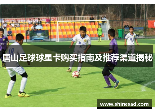 唐山足球球星卡购买指南及推荐渠道揭秘