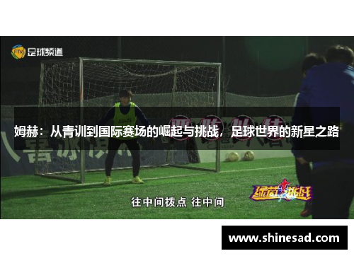 姆赫：从青训到国际赛场的崛起与挑战，足球世界的新星之路