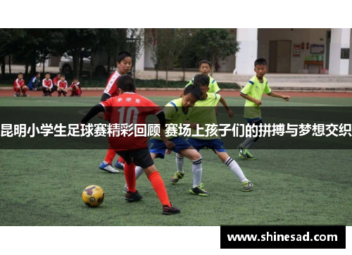 昆明小学生足球赛精彩回顾 赛场上孩子们的拼搏与梦想交织