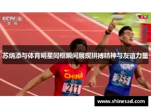 苏炳添与体育明星同框瞬间展现拼搏精神与友谊力量