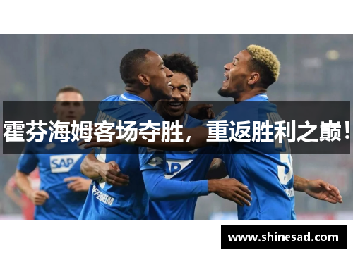 霍芬海姆客场夺胜，重返胜利之巅！